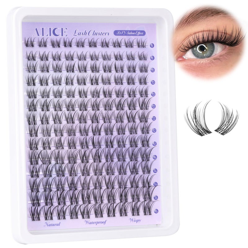 Lash Clusters Natural Lash Extensions Invisible Band Waterproof 816mm Cluster Eyelash Extensions Wispy Eyelash Clusters Individual Lashes Cluster Lashes by ALICE